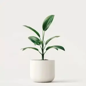 product 04